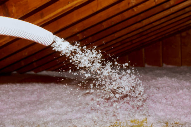 Best Crawl Space Insulation  in Liberty City, TX