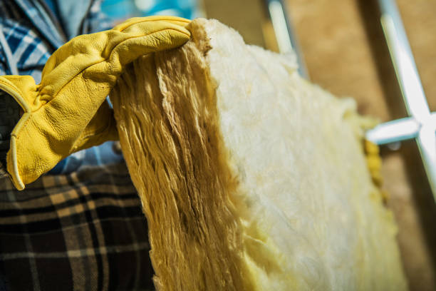 Best Affordable Insulation Services  in Liberty City, TX