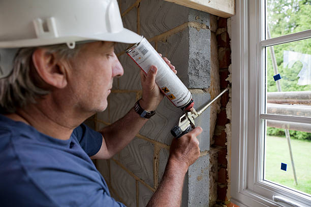Best Spray Foam Insulation  in Liberty City, TX